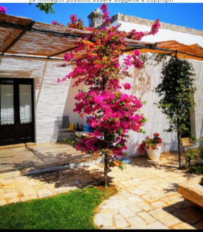 Room in BB - Double room in ancient Masseria near by the sea